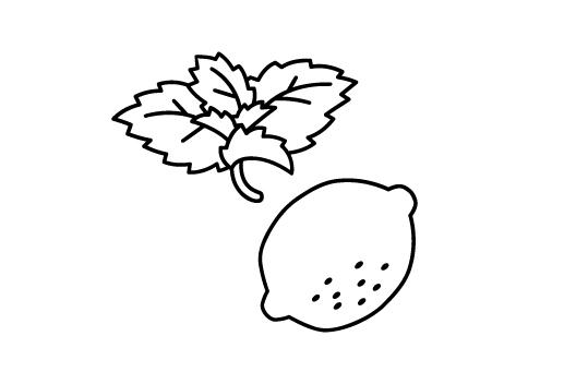 原料(果実・ハーブ)